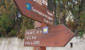 Trail Walking Drap - Drap-Monaco par la Turbie  - Photo 6