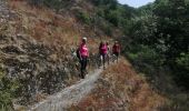 Excursión Senderismo Vianden - annif Geert - Photo 4