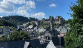 Tour Wandern Monschau - Autour et dans Monschau - Photo 12