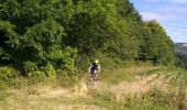 Trail Mountain bike Corbas - Corbas bois de st jean - Photo 3