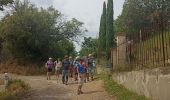 Trail Walking Tourbes - jolie boucle à Tourbes - Photo 5