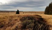 Tour Wandern Weismes - botrange - tour de la fagne wallonne  - Photo 9