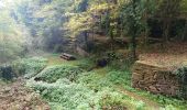 Trail Walking Saint-Louis-lès-Bitche - St louis - Photo 3