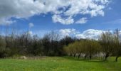 Tour Wandern Holsbeek - Sin Pieter Rode  - Photo 8