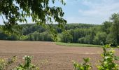 Tour Wandern Braine-le-Comte - GRP127 : De Hennuyères à Nivelles - Photo 4