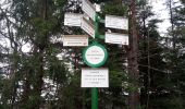 Tour Wandern Ottrott - 2023-02-18 Vorbruck - Mt st Odile - Photo 12