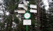 Percorso Marcia Ottrott - 2023-02-18 Vorbruck - Mt st Odile - Photo 12