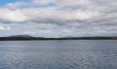 Tocht Motorboot West Cork - 190702Fastnet - Photo 5