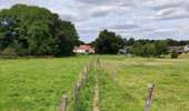 Tocht Stappen Incourt - Promenade du moulin  - Photo 3