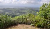 Tour Wandern Le Vauclin - Boucle Montagne Vauclin - Photo 7