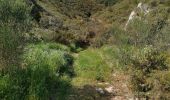 Trail Walking Rognac - Tour du domaine de la Saragousse  - Photo 10