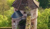 Excursión A pie Hirschhorn - Rundwanderweg Rothenberg 5: Odenwald-Neckar-Runde - Photo 1