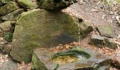 Tour Wandern Sankt Kreuz im Lebertal - boucle col haut de Ribeauvillé - taennchel sentier des roches  - Photo 3