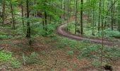 Tocht Te voet Bad Staffelstein - Schlockenstein Rundweg - Photo 3