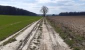 Randonnée Marche Havelange - méan ac - Photo 3