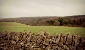 Tocht Te voet Tewkesbury - Warden's Way - Photo 2