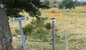 Excursión Senderismo Le Buisson - Randonnée du moulinet  - Photo 7