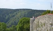 Excursión Senderismo Herbeumont - Herbeumont et son château  - Photo 5