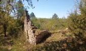 Trail Walking Maxou - Bois des Carrières_Le Lac-Blanc 5 km - Photo 1