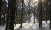 Randonnée Raquettes à neige Orsières - Champex Lac - Belvédère - Champex Lac - Photo 12