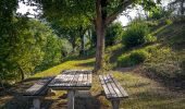 Randonnée A pied Casola Valsenio - Petalo del Giardino delle Erbe e del Cardello - Photo 1