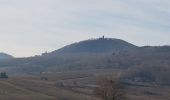 Tour Wandern Sankt Pilt - St Hippolyte - Bergheim - château Reichenberg - Photo 8