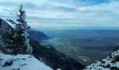 Excursión Raquetas de nieve Autrans-Méaudre en Vercors - Bec de l'orient en circuit - Photo 5