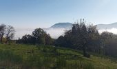 Randonnée Marche Neubois - Château de Frankenberg - Photo 5