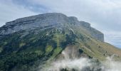 Tour Wandern Saint-Pierre-de-Chartreuse - Circuit autour de Pravouta (Saint Hilaire du Touvet) - Photo 3