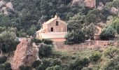 Randonnée Marche Saint-Raphaël - massif de l'Esterel : autour des grues  - Photo 11