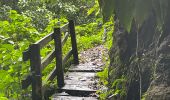 Tour  Fort-de-France - Absalon vers Didier  - Photo 8