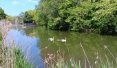 Tocht Stappen Luik - parc d avroy . Landes de Streupas . parc d avroy - par monts et par vaux  - Photo 7