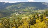 Tour Wandern La Motte-Chalancon - LA MOTTE CHALANCON - LE PLATEAU DE LA CHAU - Photo 8