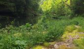 Tour Wandern Villers-le-Lac - Le Pisoux - Photo 19