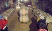Trail Bicycle tourism Villeneuve-sur-Yonne - SEJOUR EN BOURGOGNE - Photo 5