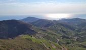 Tour Wandern Collioure - les Batteries Taillefer la Madeloc_T - Photo 6