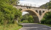 Tour Zu Fuß Ziegenrück - Wanderweg blaues Kreuz - Photo 8