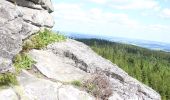 Trail On foot Kirchenlamitz - Lamitzquelle - Hirschstein - Photo 1