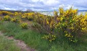 Randonnée Marche Rosis - Caroux - Photo 1