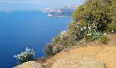 Tocht Stappen La Ciotat - soubeyrannes  aller retour - Photo 4