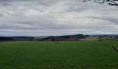 Tour Wandern Neufchâteau - marche adeps Tournay  - Photo 5
