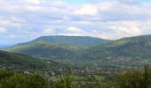 Trail On foot Bystra - Buczkowice Centrum - Chata na Groniu - Photo 4