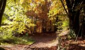 Tocht Stappen Malmedy - Autour de l'auberge.  - Photo 1