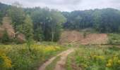 Trail Equestrian Porcelette - Wikiloc - Porcelette - Grotte des russes - Photo 14