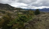 Randonnée Marche Sainte-Jalle - GRP Baronnies Ste Jalle Arpavon 18km - Photo 2