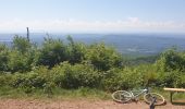Trail Mountain bike Ronchamp - rando VTT club lure, ronchamp la filature, le plainet - Photo 2