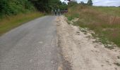 Trail Nordic walking Plouezoc'h - le durduff c'est un Samson le guerzit - Photo 4