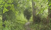 Trail Walking Esneux - esneux eglise . hony . mery . crevecoeur . avionpuits . fontin . le fy . eglise - Photo 7