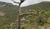 Trail Walking Sorbiers - Balade chapelle st-honora - Photo 2