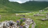 Trail Walking Abondance - Col de Bassachaux le lac vert 7 juillet 2022 - Photo 4